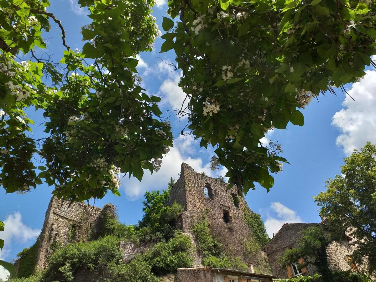 Les pentes du chateau de Retourtour Lamastre Extérieur photo